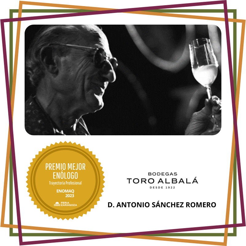 D. ANTONIO SÁNCHEZ ROMERO