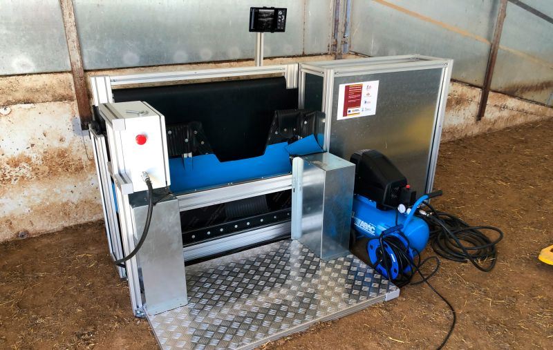 LAUS (LAMB ULTRASOUND SCAN)