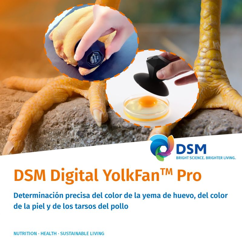 DIGITAL YOLKFAN™ PRO: EXTENSIÓN DIGITAL MEJORADA DEL ABANICO DSM YOLKFAN PARA MEDIR EL COLOR DE LA YEMA DE HUEVO, ASÍ COMO DE LA PIEL Y DE LOS TARSOS DE POLLOS