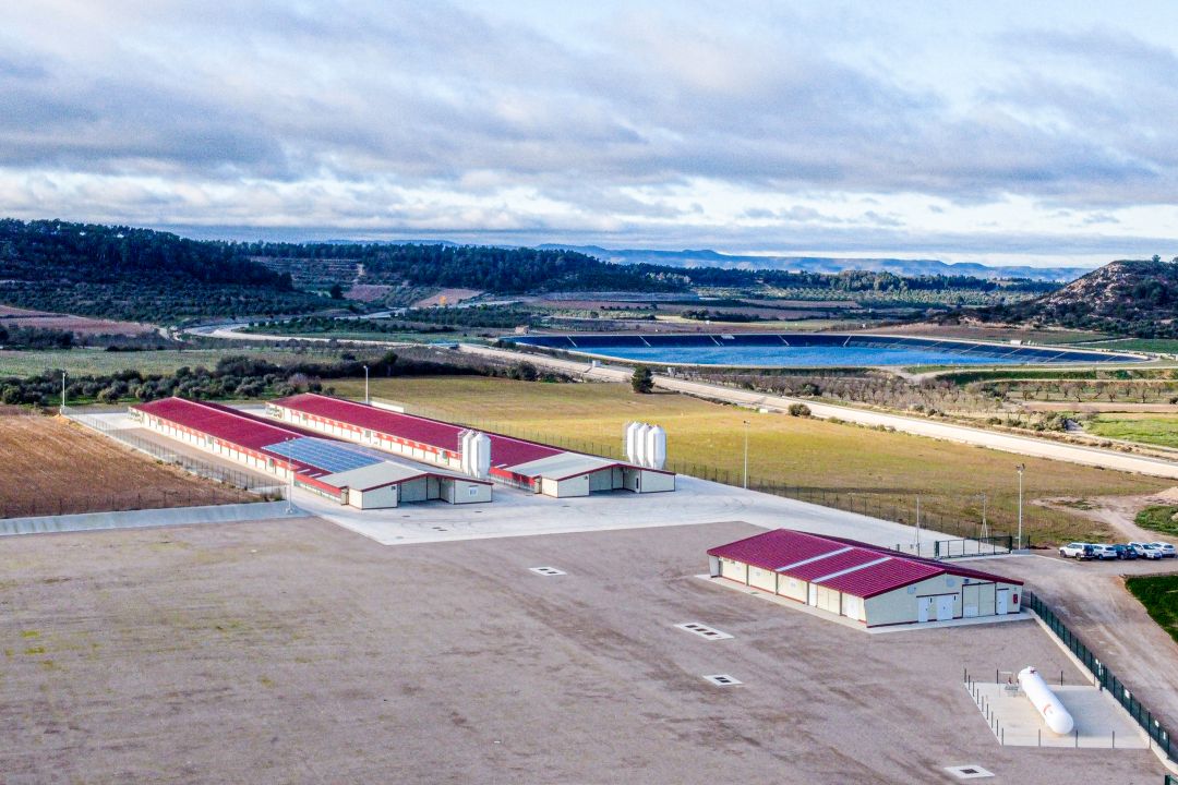 MALDA AGROPECUARIA, S.L.