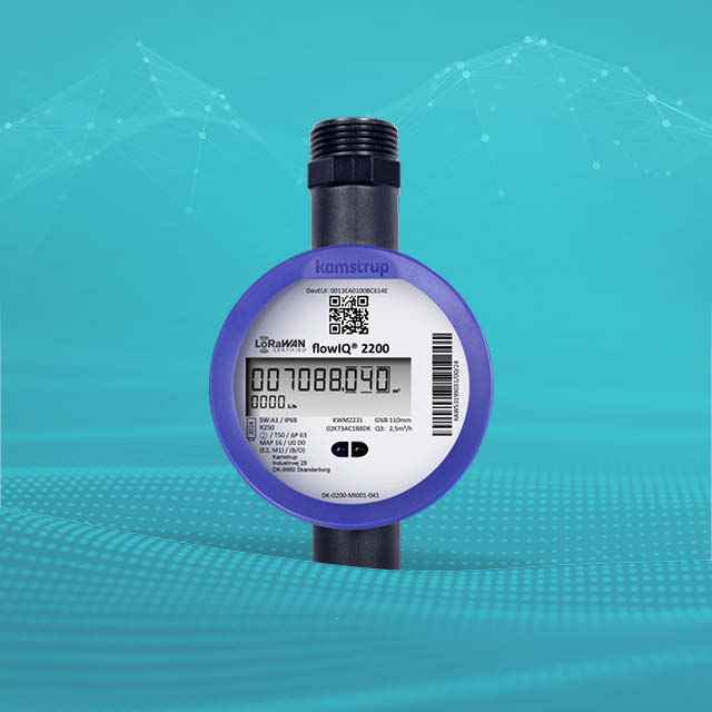 flowIQ 2200 con LoRaWAN®